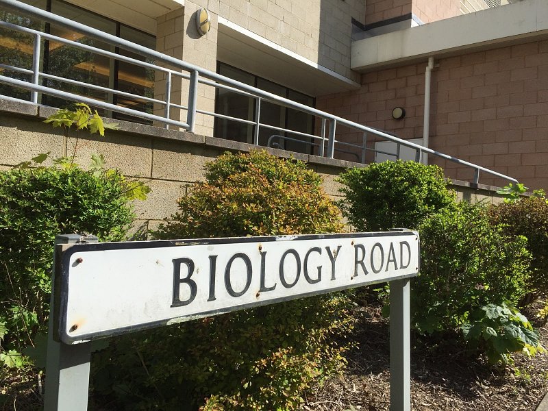 Biology Road